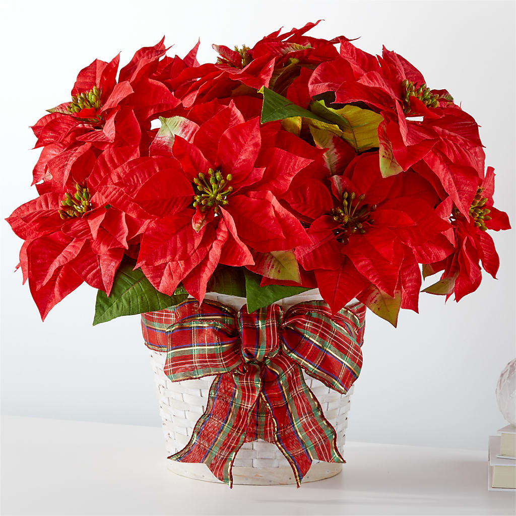 Happiest Holidays Poinsettia – Upscale Flowers, Clayton NJ