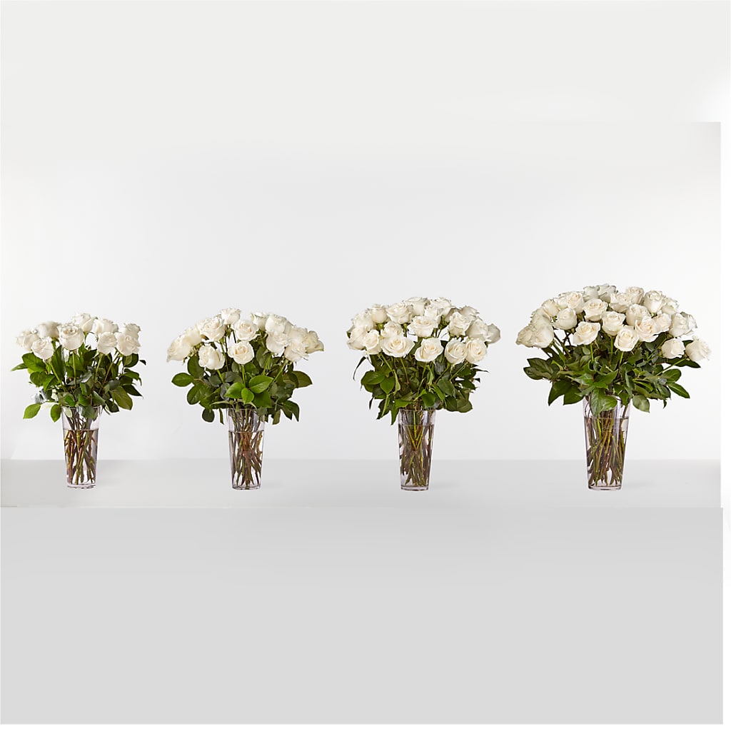 Long Stem White Rose Bouquet – Upscale Flowers, Clayton NJ