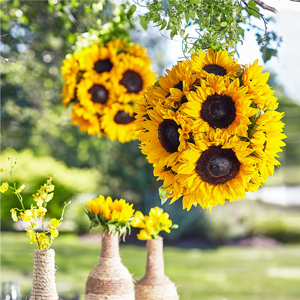 Sublime Garden Hanging Arrangement – Upscale Flowers, Clayton NJ