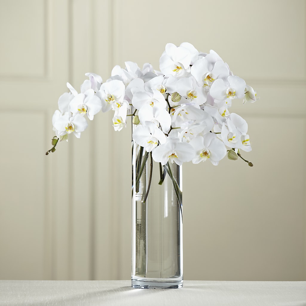 White Phalaenopsis Bouquet – Upscale Flowers, Clayton NJ