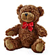 Adorable Plush Bear –  Upscale Flowers, Clayton NJ