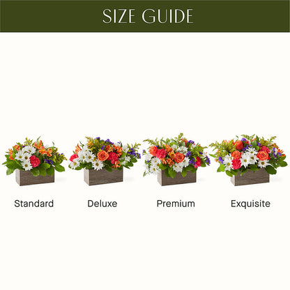 Oopsie Daisy Box Bouquet –  Upscale Flowers, Clayton NJ