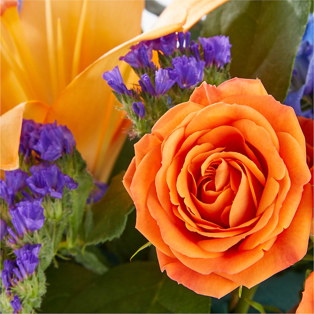Radiant Citrus Box Bouquet –  Upscale Flowers, Clayton NJ