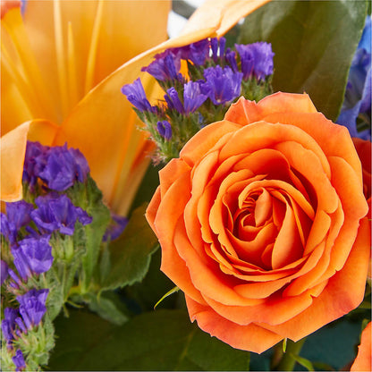 Radiant Citrus Box Bouquet –  Upscale Flowers, Clayton NJ