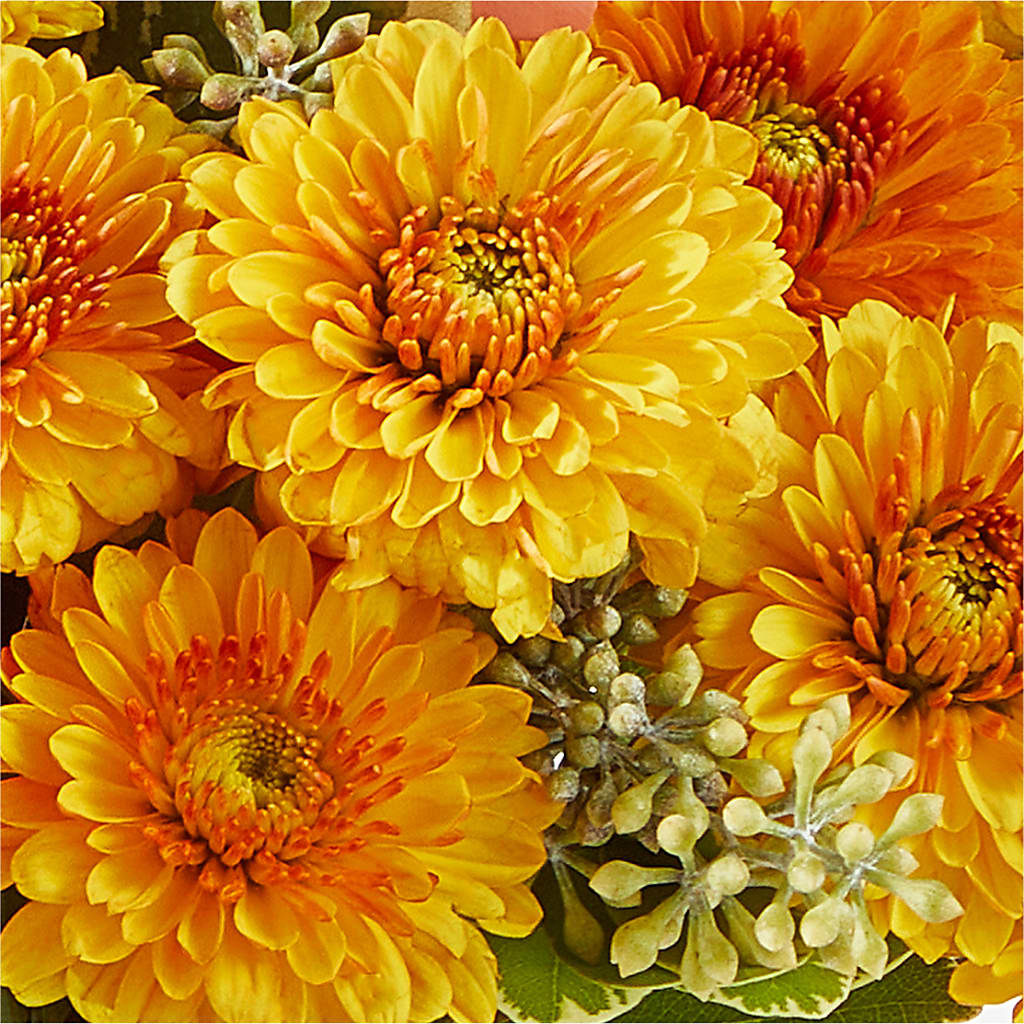 Peachy Pumpkin –  Upscale Flowers, Clayton NJ