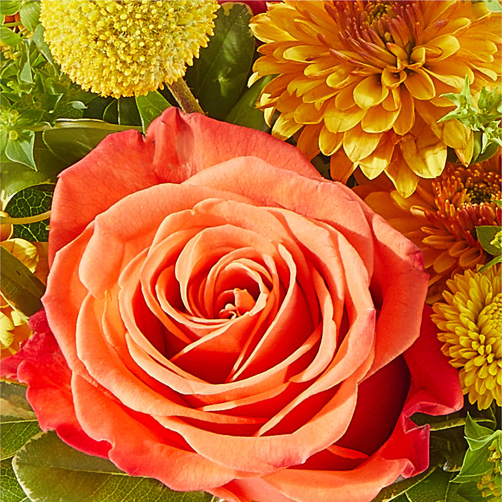 Gourdgeous Pumpkin –  Upscale Flowers, Clayton NJ