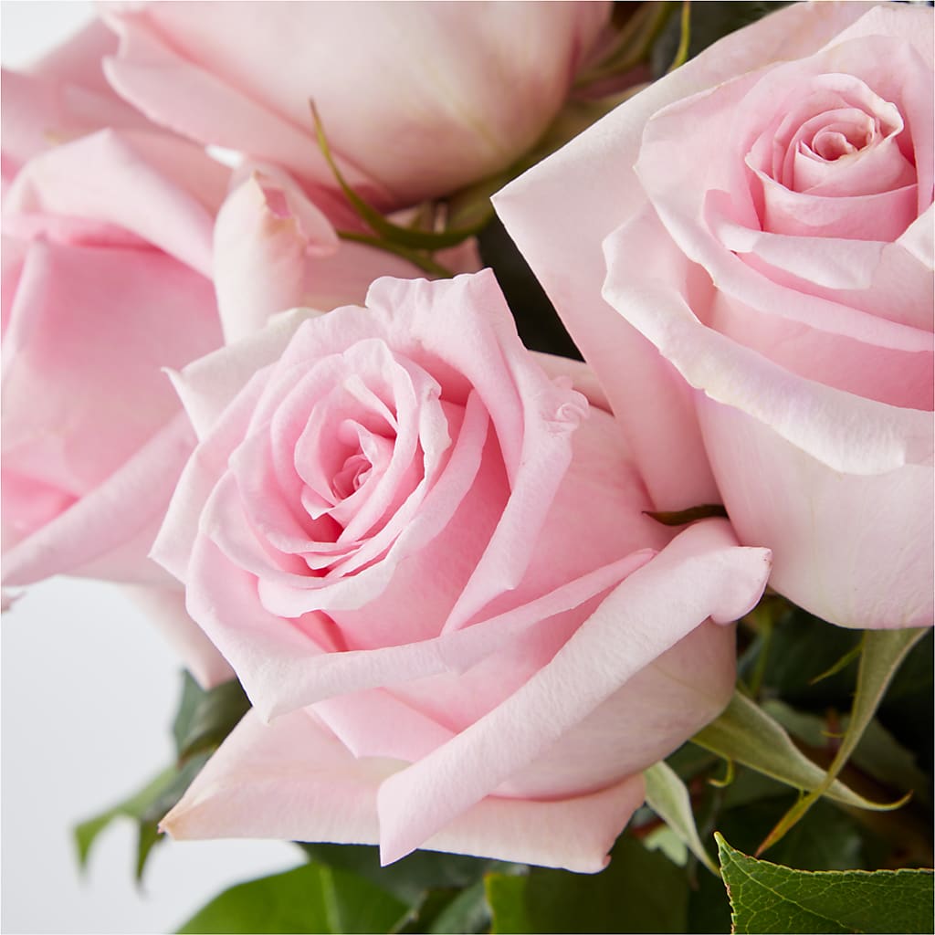 Picture Perfect Pink Rose Bouquet –  Upscale Flowers, Clayton NJ