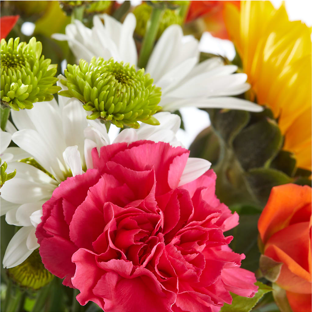 Sun-drenched Blooms Bouquet –  Upscale Flowers, Clayton NJ