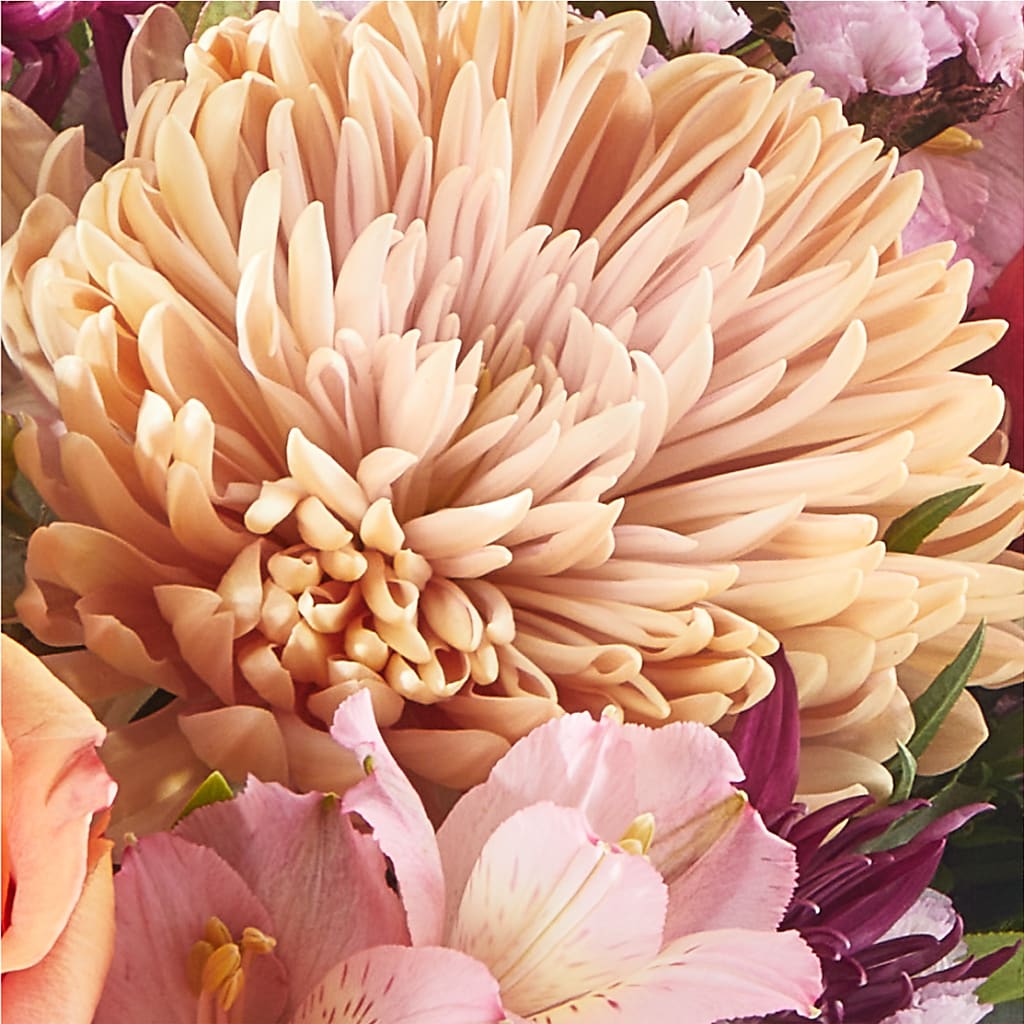 Berry Cobbler Bouquet –  Upscale Flowers, Clayton NJ