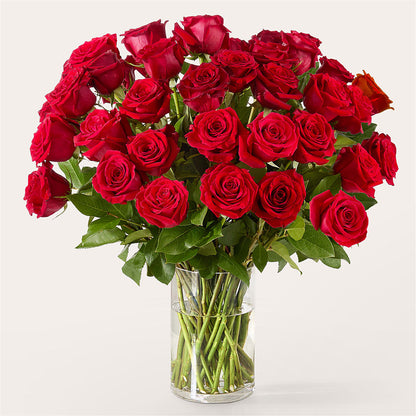 The One Red Rose Bouquet –  Upscale Flowers, Clayton NJ