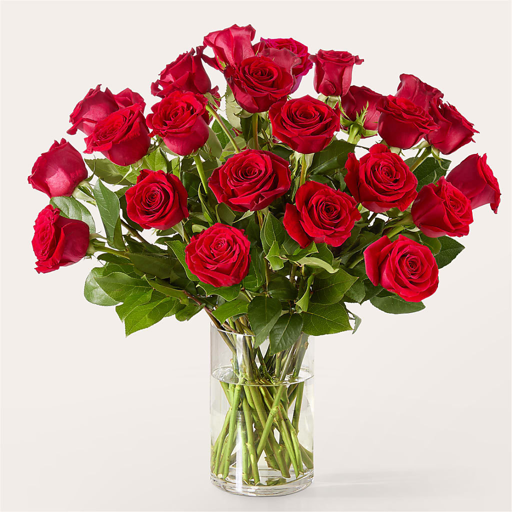 The One Red Rose Bouquet –  Upscale Flowers, Clayton NJ