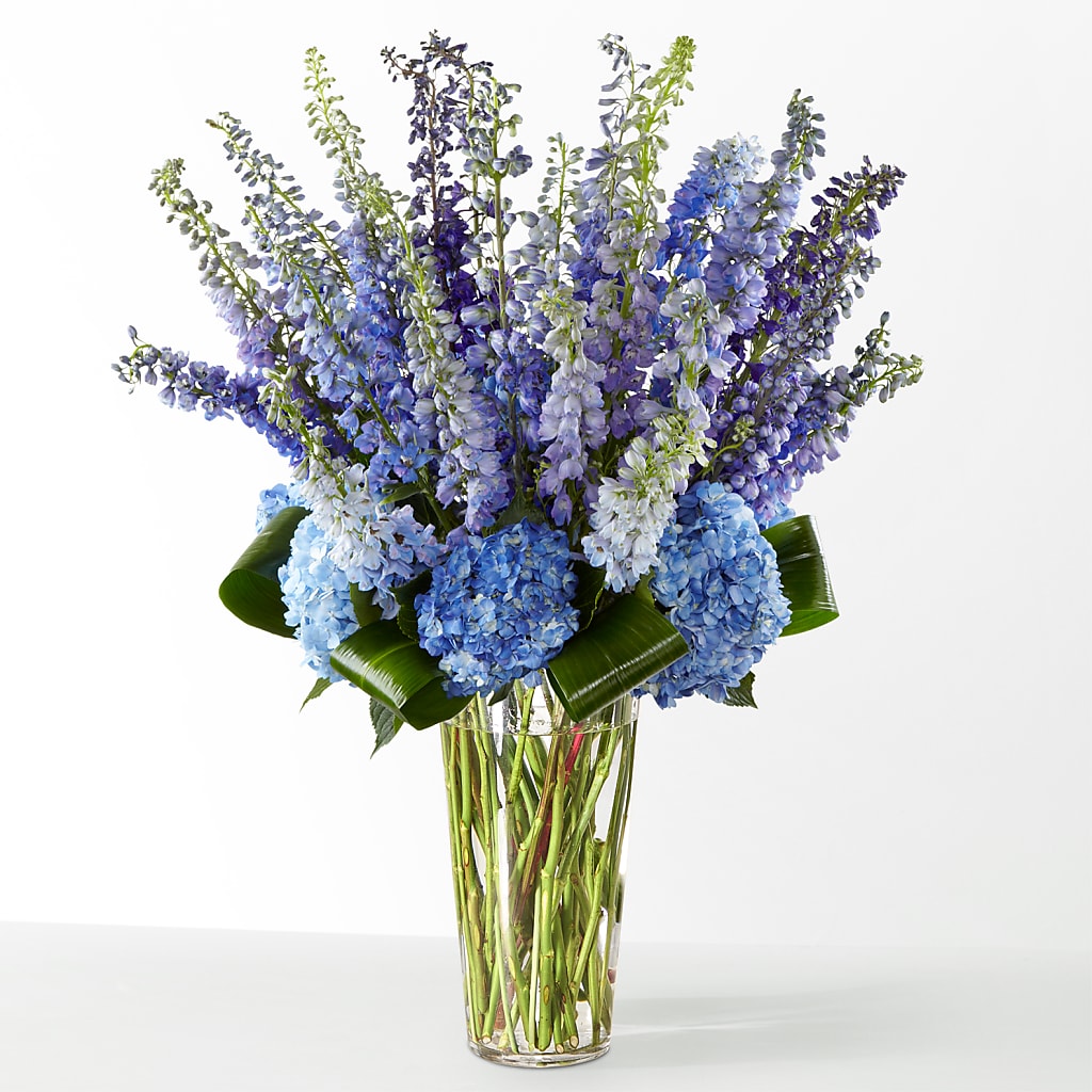The Editorial –  Upscale Flowers, Clayton NJ