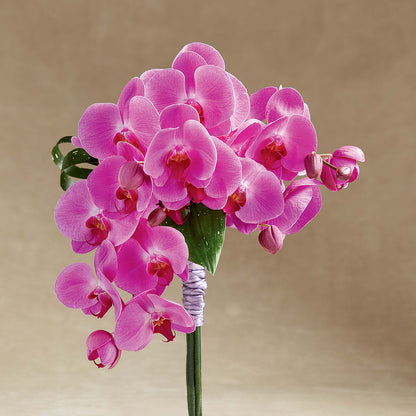 Glorious Bouquet –  Upscale Flowers, Clayton NJ