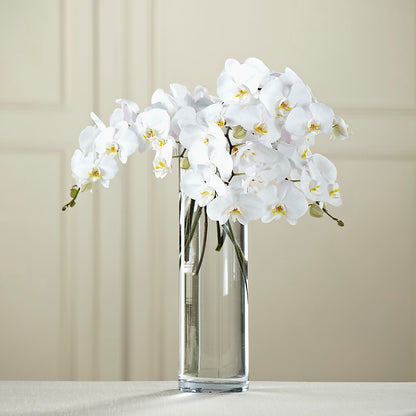 White Phalaenopsis Bouquet –  Upscale Flowers, Clayton NJ